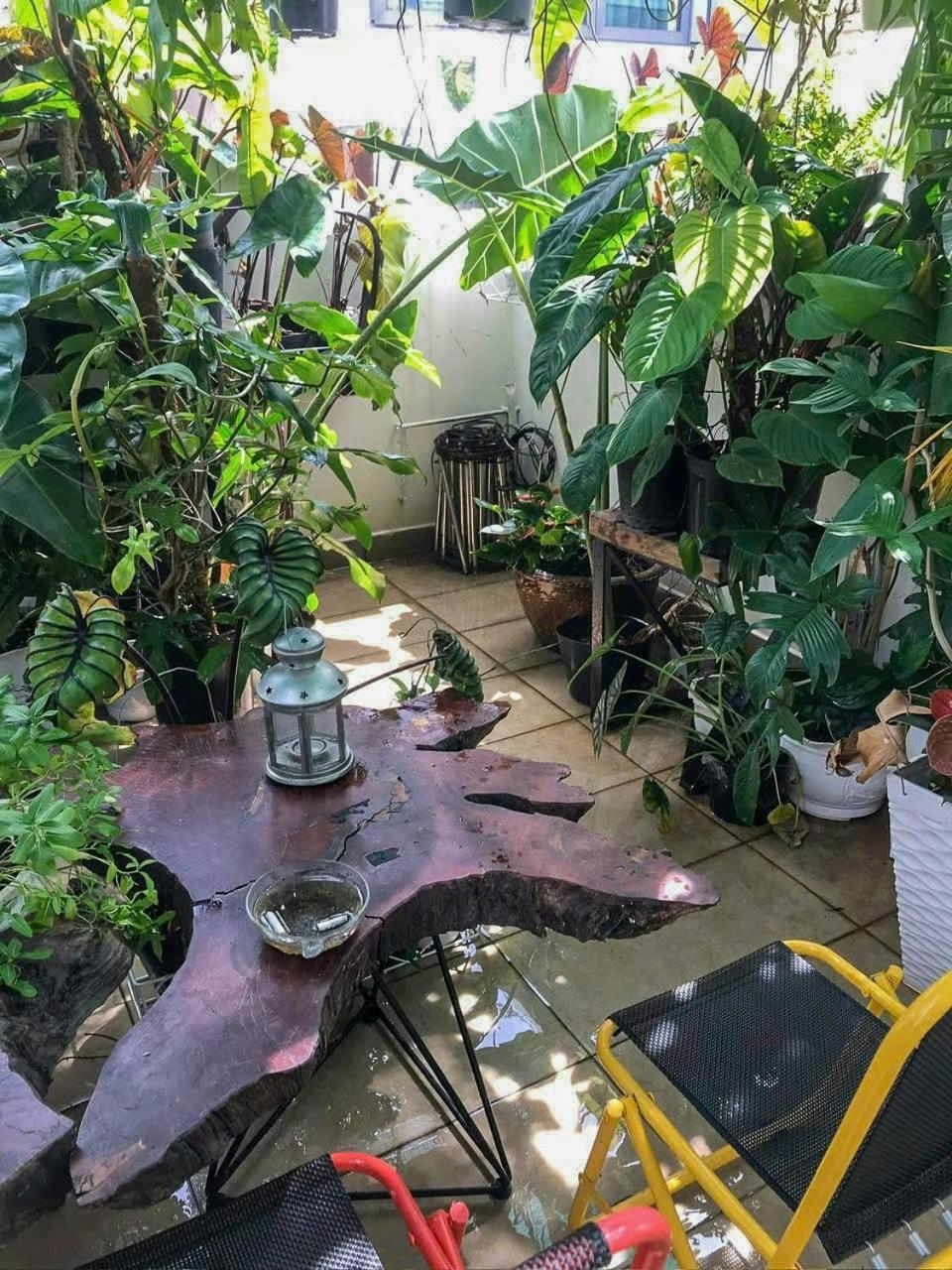 הו צ'י מין סיטי Amango Hostel מראה חיצוני תמונה